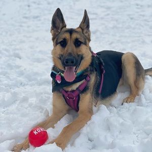 Meet your Posher, Haley